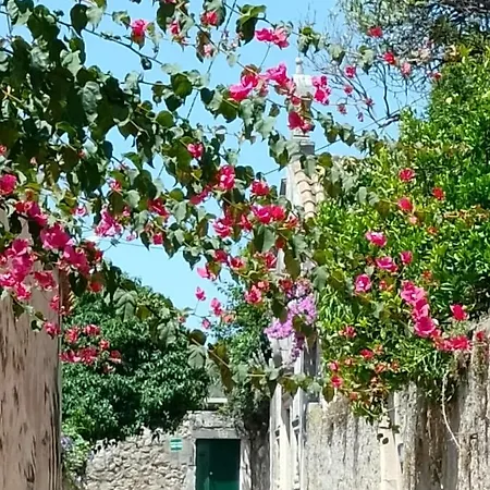 アパート Seaview Old Town *